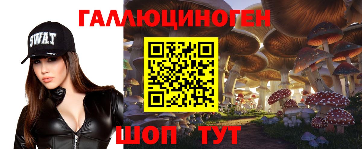 хочу   Вход с VPN  Канаш  Галлюциногенные грибы Cubensis 