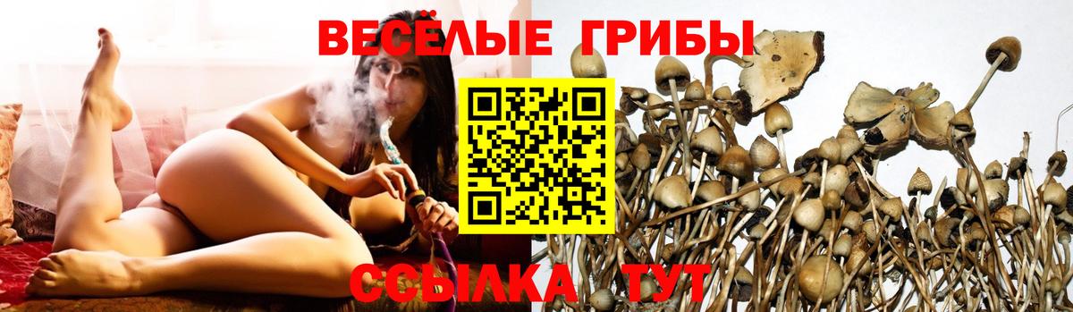 Канаш  МАРИХУАНА  МЕТАМФЕТАМИН  Мефедрон   Вход с VPN  COCAIN 